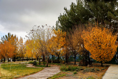 عکس: حسین سبزه‌بان