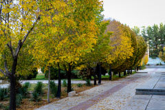 عکس: حسین سبزه‌بان