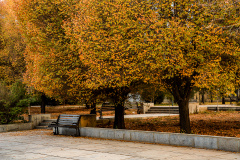 عکس: حسین سبزه‌بان