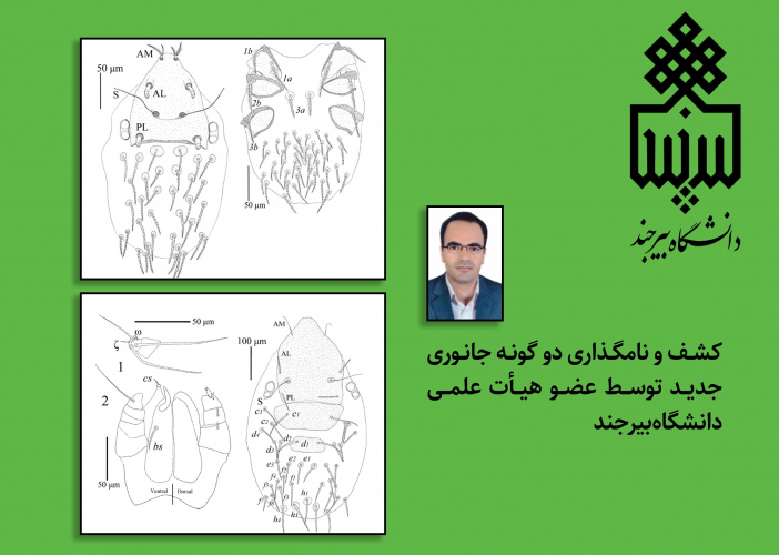 کشف و نامگذاری دو گونه جانوری جدید توسط عضو هیأت علمی دانشگاه بیرجند